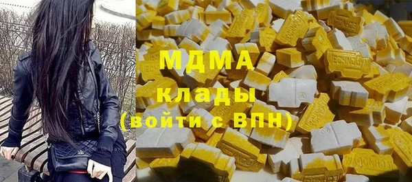 дмт Богданович